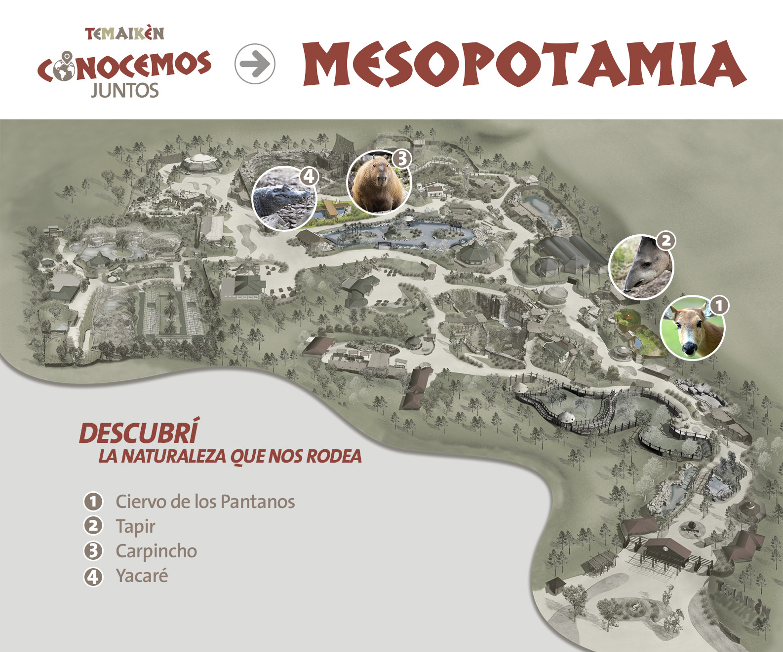 CONOCEMOS JUNTOS: Mesopotamia