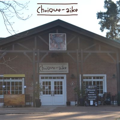 Choique Aike by Irune